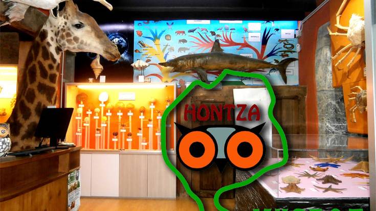 Hontza Museorako sarrerak